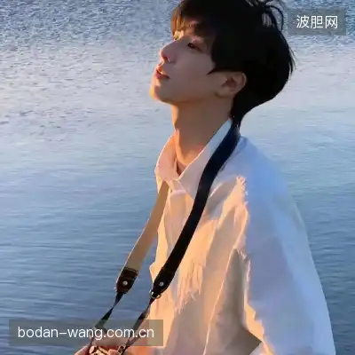 沈维朵